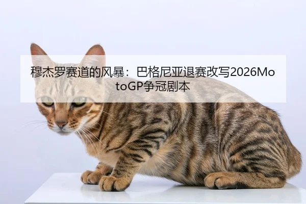 mu-jie-luo-sai-dao-de-feng-bao-ba-ge-ni-ya-tui-sai-gai-xie-zheng-guan-ju-ben-2-455.jpg